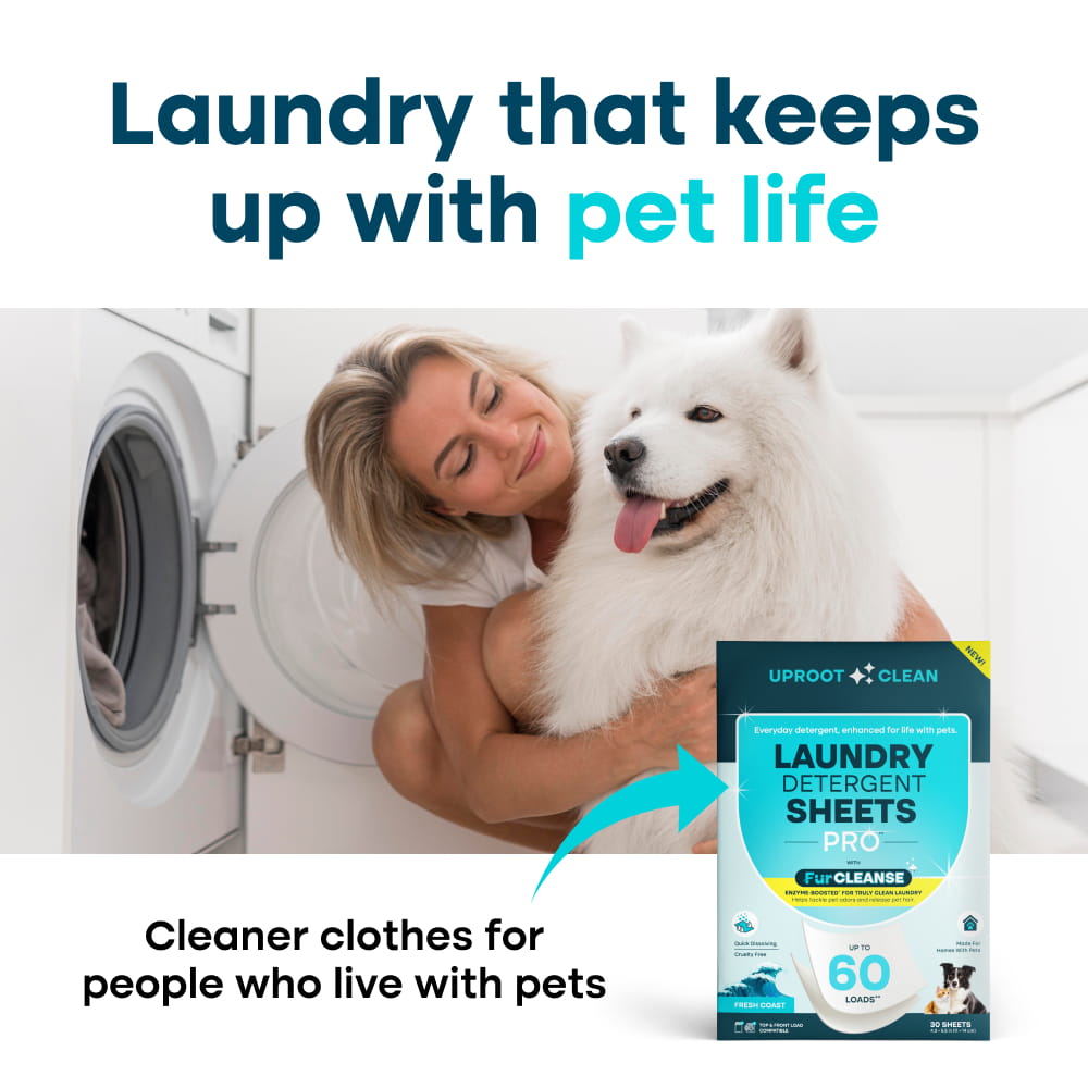 LS_LaundrySheets-ProductImages_PRO_6_fb49b1d6-bda2-4799-a84c-4326a2faee8d.jpg